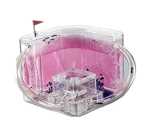 CBFGGOEUDFBS Transparentes Ameisenfarm-Set zur DIY-Beobachtung Einer Ameisenkolonie, Ameisenhaus for Wissenschaftsbegeisterte(Pink) von CBFGGOEUDFBS