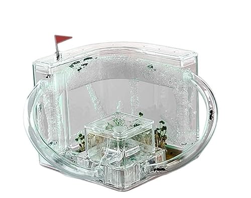 CBFGGOEUDFBS Transparentes Ameisenfarm-Set zur DIY-Beobachtung Einer Ameisenkolonie, Ameisenhaus for Wissenschaftsbegeisterte(White) von CBFGGOEUDFBS