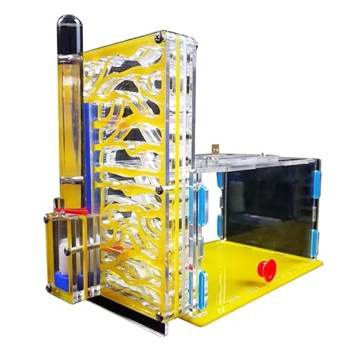 CBFGGOEUDFBS Transparentes Ameisenfarm-Set zur DIY-Beobachtung Einer Ameisenkolonie, Ameisenhaus for Wissenschaftsbegeisterte(Yellow) von CBFGGOEUDFBS