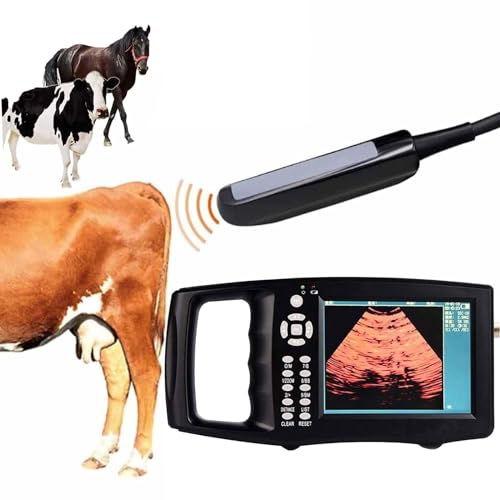 CBLdF Tragbarer Ultraschallscanner für die Veterinärmedizin, 3 Sondenoptionen, (B, M, BM, B+B, 4B) Anzeigemodus, 5,6-Zoll-HD-Bildschirm, für Schafe, Hunde, Katzen, Schweine, Pferde, Kuh,C von CBLdF