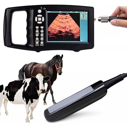 CBLdF Ultraschallscanner Veterinär, tragbarer B-Ultraschallscanner mit Rektalsonde, 5,6-Zoll-LED-Display, Anzeigemodus (B, B+B, 4B, BM, M), für Großtiere, Rinder, Pferde, Kühe von CBLdF