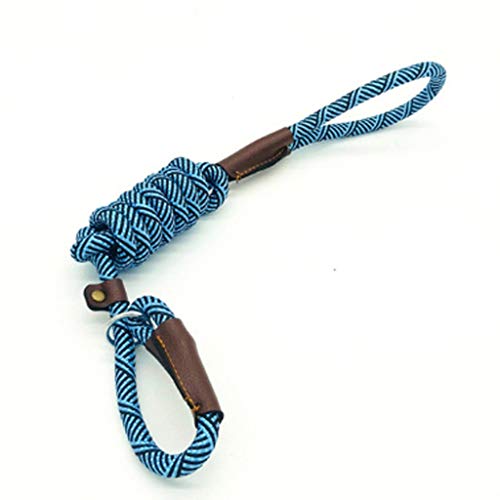 Strapazierfähiges Halsband mit Zugseil for Haustiere, 2 in 1, verstellbares Halsband, bequemer Sicherheitsgurt for große Haustiere einfach und bequem (Color : D) von DIAGRAM