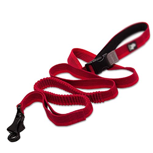 Verstellbare, elastische, Dehnbare Nylonleine for Haustiere, for Laufen, Joggen und for Heimtierbedarf einfach und bequem ( Color : A ) von DIAGRAM