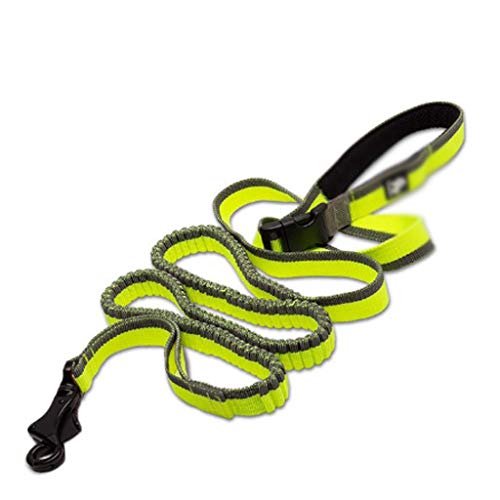 Verstellbare, elastische, Dehnbare Nylonleine for Haustiere, for Laufen, Joggen und for Heimtierbedarf einfach und bequem ( Color : B ) von CCBUY