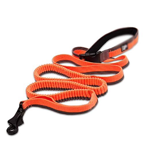 Verstellbare, elastische, Dehnbare Nylonleine for Haustiere, for Laufen, Joggen und for Heimtierbedarf einfach und bequem ( Color : C ) von CCBUY