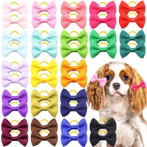 CCUUHJ Haarschleifen mit Gummibändern, Haar-Accessoires, Schleife, Haustierpflege, niedlich, klein, 40 Stück/20 Paar (mehrfarbig) von CCUUHJ