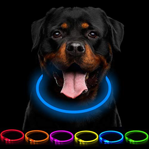 CCWW LED Leuchthalsband Hunde Halsband USB wiederaufladbar - Längenverstellbarer Haustier Sicherheit Kragen für Hunde und Katzen- 3 Modus CCWW LED Leuchthalsband Hunde Halsband USB wiederaufladbar - Längenverstellbarer Haustier Sicherheit Kragen für Hunde und Katzen- 3 Modus von CCWW