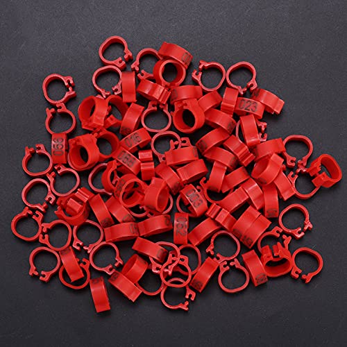 CCYLEZ Ringe, Clip-Design Kunststoff 100PCS Beinbänder für Buchstaben (rot) von CCYLEZ