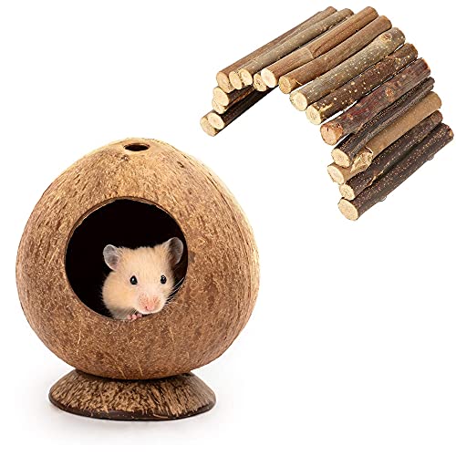 2 Stück Hamster Kletterspielzeug, Hamsterbrücke aus Holz, Hamster Kauspielzeug, Hamster Haus Bird House Kokosnuss, Verwendet für Hamster, Mäuse, Papageien, Igel, Meerschweinchen, Wellensittiche 2 Stück Hamster Kletterspielzeug, Hamsterbrücke aus Holz, Hamster Kauspielzeug, Hamster Haus Bird House Kokosnuss, Verwendet für Hamster, Mäuse, Papageien, Igel, Meerschweinchen, Wellensittiche von Rkllejs