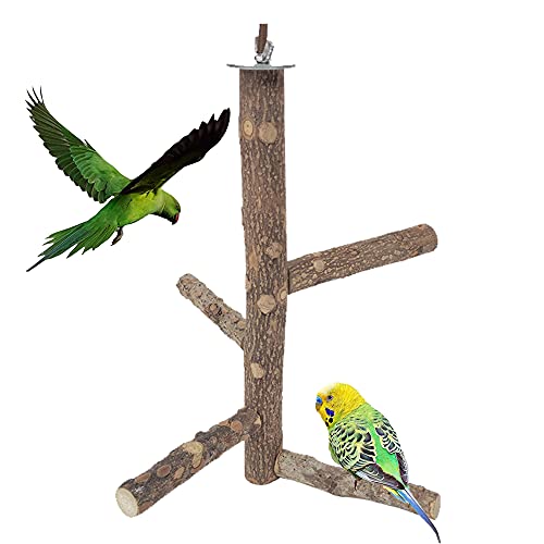 Sitzstangen aus Naturholz für Vögel - Bird Cage Perch, Spielzeug für Vogelkäfige, Papageien, Wellensittich, Kanarienvogel, Nymphensittich von Rkllejs