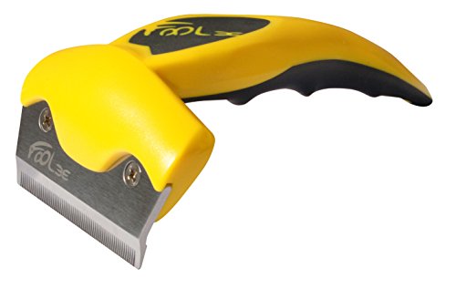 Foolee One L Striegel komplett, gelb von CD Equisports
