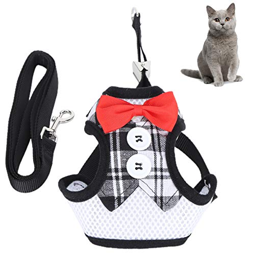 Katzenweste mit Leine – Ausbruchsicher, Sicher, Verstellbare Kätzchenwestengeschirre, Weiche und Atmungsaktive Netzjacke für Katzen Beim Spazierengehen und Reisen, Einfaches und Katzenweste mit Leine – Ausbruchsicher, Sicher, Verstellbare Kätzchenwestengeschirre, Weiche und Atmungsaktive Netzjacke für Katzen Beim Spazierengehen und Reisen, Einfaches und von CDQL