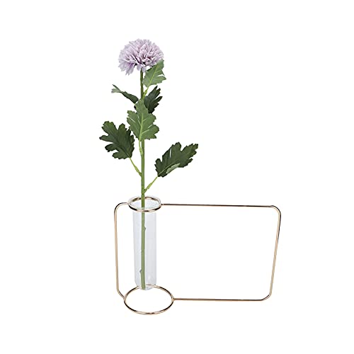 Tischvase aus Glasröhren – Innovativer Hängepflanzer – Reagenzglas-transparente Hydrokultur-Pflanzenvasen – Moderne Heimdekorationsvasen – für Zuhause Im Innenbereich (Gold) von CDQL