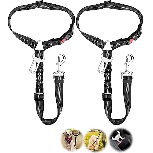 CEASELESLY 2 Stück Hund Kofferraum anschnallen,Hundeanschnaller fürs Auto,Reise & Transport für Hunde,mit Elastischer Ruckdämpfung und Starke Karabiner für alle Hunderassen Katzen& Autotypen CEASELESLY 2 Stück Hund Kofferraum anschnallen,Hundeanschnaller fürs Auto,Reise & Transport für Hunde,mit Elastischer Ruckdämpfung und Starke Karabiner für alle Hunderassen Katzen& Autotypen von CEASELESLY