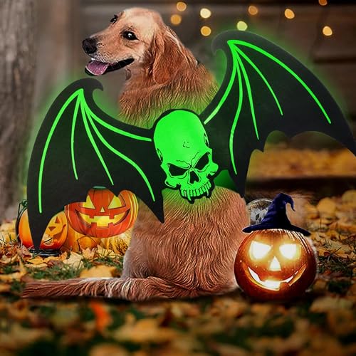 CEASELESLY Fledermausflügel Hund,Fasching hundekostuem,Hund Bat Wings Kostüm,Hundekostüm spinne,Haustier Halloween Cosplay Lustige Kostüm für Large Hunde, für Halloween Partys Kostümzubehör von CEASELESLY