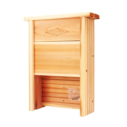 Cedar Alpha XL Fledermaushäuser für Außenabstand, 40,6 x 30,5 cm, Zedernfledermauskasten für den Außenbereich, Wandpfosten montierbar, Alaska Old Gowth Red Cedar – Fledermauszubehör für Cedar Alpha XL Fledermaushäuser für Außenabstand, 40,6 x 30,5 cm, Zedernfledermauskasten für den Außenbereich, Wandpfosten montierbar, Alaska Old Gowth Red Cedar – Fledermauszubehör für von CEDAR ALPHA