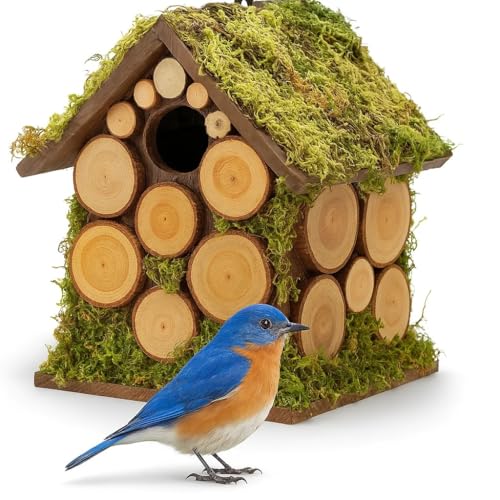Forest Bluebird Vogelhaus Forest Bluebird Vogelhaus von CEDAR ALPHA