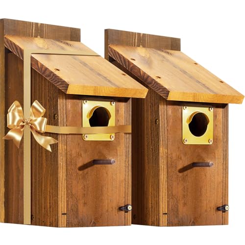 New Cedar Alpha Premium Bluebird Outdoor – Edelstahl-Sitzstange, Netzboden und Messingschutz – Zedern-Vogelhaus für Bluebirds, Finken, Schwalben, karbonisiert, für den Außenbereich, bemalt, 5 Jahre New Cedar Alpha Premium Bluebird Outdoor – Edelstahl-Sitzstange, Netzboden und Messingschutz – Zedern-Vogelhaus für Bluebirds, Finken, Schwalben, karbonisiert, für den Außenbereich, bemalt, 5 Jahre von CEDAR ALPHA