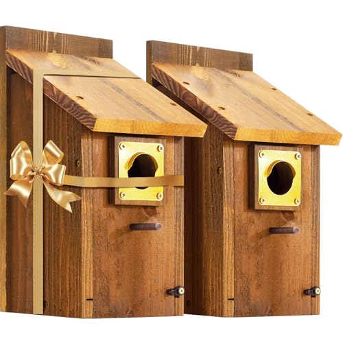 New Cedar Alpha Premium Bluebird Outdoor – Holz-Sitzstange, Netzboden und Messingschutz – Zedern-Vogelhaus für Bluebirds, Finken, Schwalben, karbonisiert, für den Außenbereich, bemalt, 5 Jahre New Cedar Alpha Premium Bluebird Outdoor – Holz-Sitzstange, Netzboden und Messingschutz – Zedern-Vogelhaus für Bluebirds, Finken, Schwalben, karbonisiert, für den Außenbereich, bemalt, 5 Jahre von CEDAR ALPHA