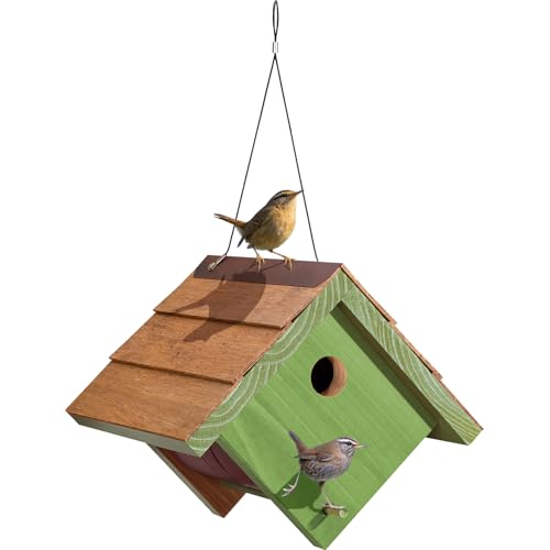 Vogelhaus (Grün Vogelhaus (Grün von CEDAR ALPHA