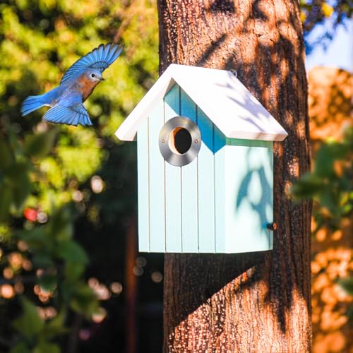Zedernholz-Vogelhaus, Vogelhaus aus Holz für draußen, 3,2 cm Eingangslochgröße, Edelstahl-Eingangslochschutz, bunt, Gartendekoration (blau) von CEDAR ALPHA