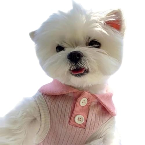 CELONROMF Macaron Poloshirt mit farbblockiertem Revers für kleine Hunde und Katzen, atmungsaktiv, Frühjahr/Sommer/Herbst, leichtes Haustier-Shirt, für alle Jahreszeiten, leicht anzuziehen, Größe S-XL von CELONROMF