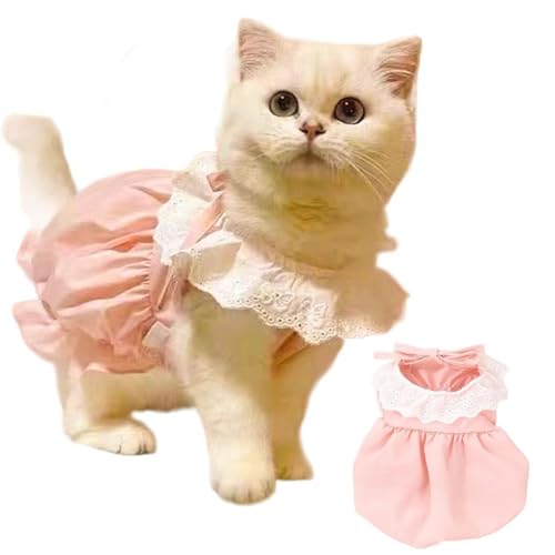 CELONROMF Niedliches Spitzenkleid für Katzen und kleine Hunde, Sommer, Frühling, Haustierkleidung, atmungsaktiv, für Welpen, Kätzchen, Ragdoll, Yorkie, Malteser (Gelb und Rosa, S-XL) (Rosa, L) von CELONROMF