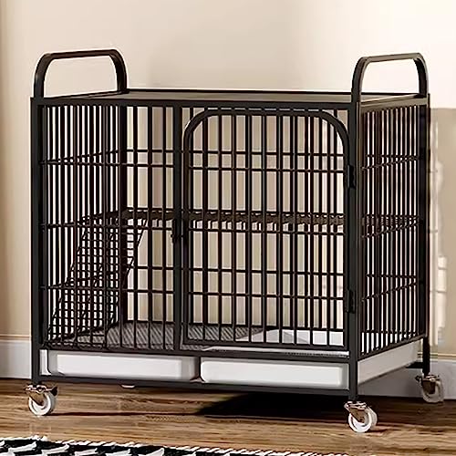 CENAP Großer Katzenkäfig, Haustierkäfig, Drahtkatzenkäfig, Laufstall, Katzenhütten für Hauskatzen, Boden mit Rollen, frei bewegliche Position, für 1–2 Katzen, Frettchen, Chinchilla, Kaninchen, Kle CENAP Großer Katzenkäfig, Haustierkäfig, Drahtkatzenkäfig, Laufstall, Katzenhütten für Hauskatzen, Boden mit Rollen, frei bewegliche Position, für 1–2 Katzen, Frettchen, Chinchilla, Kaninchen, Kle von CENAP