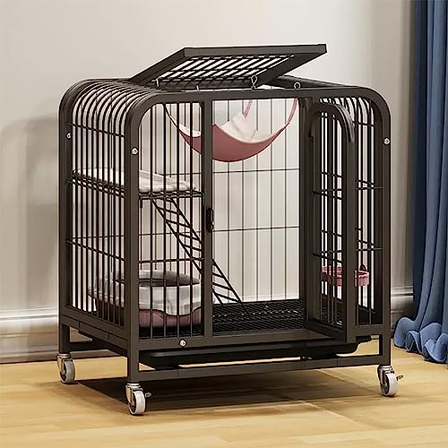 CENAP Katzenkäfig für drinnen, Katzenlaufstall, mit Katzentoilette, Tablett, Leiter und Katzentoilette, Boden mit Rädern, verstellbare Richtung, Metalldraht-Zwingerkäfig, großer Übungsplatz, ideal CENAP Katzenkäfig für drinnen, Katzenlaufstall, mit Katzentoilette, Tablett, Leiter und Katzentoilette, Boden mit Rädern, verstellbare Richtung, Metalldraht-Zwingerkäfig, großer Übungsplatz, ideal von CENAP