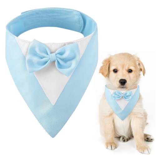 CENCERY Hunde-Smoking mit Fliege, Hochzeitshalsband für mittelgroße Hunde, Hundekostüm für Hochzeiten, Verlobungen und Geburtstage (Halsumfang: 35–45 cm, Blau) von CENCERY