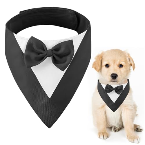 CENCERY Hunde-Smoking mit Fliege, Hochzeitshalsband für mittelgroße Hunde, Hundekostüm für Hochzeiten, Verlobungen und Geburtstage (Halsumfang: 35–45 cm, Schwarz) von CENCERY