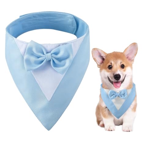Hundesmoking, Hundehochzeit Bandana Kragen mit Fliege Kleine Hunde Hundesmoking Hundekostüme für kleine Hunde Hundeanzug Kostüm für Hunde Verlobung, Hochzeit, und Geburtstag (Hals:20-30cm/Blau) von CENCERY