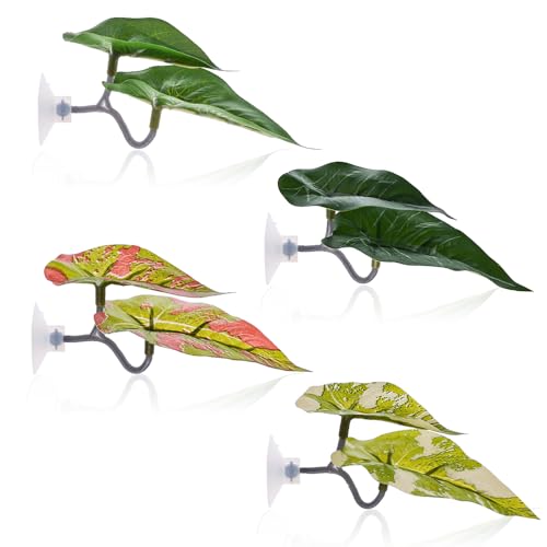 CENIBBLE Betta Bett - Doppelblatt 4 Stück - Aquarium-Dekoration für Betta-Fische von CENIBBLE
