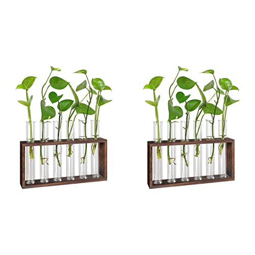 CENMEN 2 x Pflanzen-Terrarium mit Holzständer, Desktop/Wandbehang, lebende Pflanzstation, Pflanzgefäße, Glasröhren von CENMEN