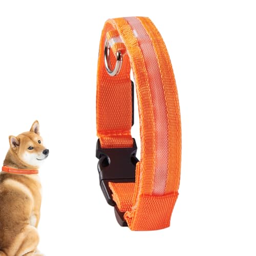 Blinkendes Hundehalsband, blinkendes Halsband für Hunde, Sicherheitshalsband mit Blinklicht, weich, wiederaufladbar, für Welpen, Haustiere und kleine Hunde Blinkendes Hundehalsband, blinkendes Halsband für Hunde, Sicherheitshalsband mit Blinklicht, weich, wiederaufladbar, für Welpen, Haustiere und kleine Hunde von CENMOO