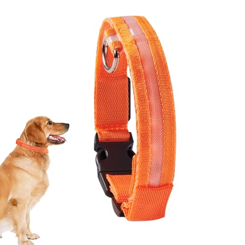 Blinkendes Hundehalsband, leuchtendes Halsband für Hunde, Sicherheitshalsband mit weichem Blinklicht, wiederaufladbar für Welpen, Haustiere und kleine Hunde Blinkendes Hundehalsband, leuchtendes Halsband für Hunde, Sicherheitshalsband mit weichem Blinklicht, wiederaufladbar für Welpen, Haustiere und kleine Hunde von CENMOO