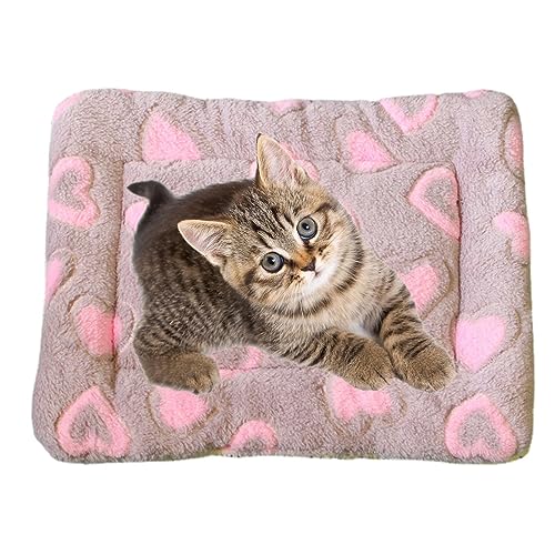 CENMOO Beruhigende Decke für Katzen, Kätzchendecken für Hauskätzchen, Katzenkissen gegen Nervosität und Stress, kleine Haustierdecke für Katzen und Hunde im Innenbereich, Hundekissen CENMOO Beruhigende Decke für Katzen, Kätzchendecken für Hauskätzchen, Katzenkissen gegen Nervosität und Stress, kleine Haustierdecke für Katzen und Hunde im Innenbereich, Hundekissen von CENMOO