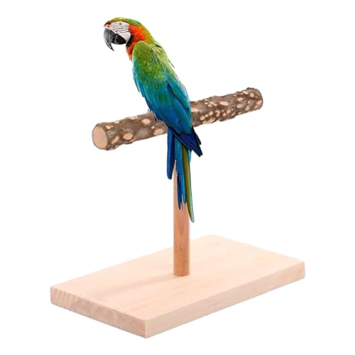 CENMOO Papageiensitzstangen, Sitzstangen für Sittiche,T-förmige Vogelplattform aus Naturholz | Tisch-Spielzeug für Nymphensittiche, Barsch, Vogelübungen für Nymphensittiche, Wellensittiche, CENMOO Papageiensitzstangen, Sitzstangen für Sittiche,T-förmige Vogelplattform aus Naturholz | Tisch-Spielzeug für Nymphensittiche, Barsch, Vogelübungen für Nymphensittiche, Wellensittiche, von CENMOO