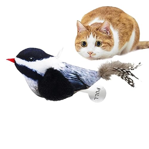 CENMOO Spielzeug zum Greifen in der Katze mit Klangherstellung | DIY Cat Wand Toys Cat Tree Cat Tower Toy mit Katzenminze - Geräuschaktiviertes Katzenspielzeug mit Katzenminze CENMOO Spielzeug zum Greifen in der Katze mit Klangherstellung | DIY Cat Wand Toys Cat Tree Cat Tower Toy mit Katzenminze - Geräuschaktiviertes Katzenspielzeug mit Katzenminze von CENMOO