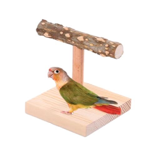 CENMOO Vogelsitzstangenständer, Papageiensitzstangen | Vogelplattform T-förmiger Papageienständer - Tisch-Spielzeug für Nymphensittiche, Barsch, Vogelübungen für Nymphensittiche, Wellensittiche, CENMOO Vogelsitzstangenständer, Papageiensitzstangen | Vogelplattform T-förmiger Papageienständer - Tisch-Spielzeug für Nymphensittiche, Barsch, Vogelübungen für Nymphensittiche, Wellensittiche, von CENMOO