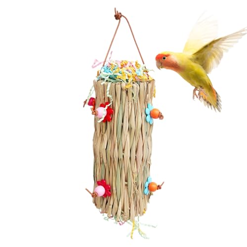 CENMOO Zerkleinerungsspielzeug für Vögel | Nymphensittich-Spielzeug, Vogel-Kauspielzeug,Mit Metallhaken, Sittich-Zerkleinerungsspielzeug, Bunte Vogelschaukel für Gartenzaun CENMOO Zerkleinerungsspielzeug für Vögel | Nymphensittich-Spielzeug, Vogel-Kauspielzeug,Mit Metallhaken, Sittich-Zerkleinerungsspielzeug, Bunte Vogelschaukel für Gartenzaun von CENMOO