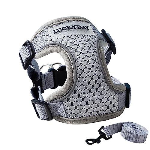 Hundegeschirr, Reflektierendes Taktisches Hundegeschirr, Sommer-No-Pull-Welpenweste Mit Leinenschnalle, 3D-Mesh-Frontclip-Weste, Welpengeschirr, Hundegeschirr Für Hunde Hundegeschirr, Reflektierendes Taktisches Hundegeschirr, Sommer-No-Pull-Welpenweste Mit Leinenschnalle, 3D-Mesh-Frontclip-Weste, Welpengeschirr, Hundegeschirr Für Hunde von CENMOO