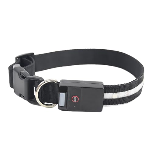 hundehalsband lichter, hundehalsband lichter, blinkende hundelichter, usb aufladbare hundehalsband, wasserdichte hundehalsband, led lichthalsband, bequemes hundehalsband blinkend, halsband lichter für hundehalsband lichter, hundehalsband lichter, blinkende hundelichter, usb aufladbare hundehalsband, wasserdichte hundehalsband, led lichthalsband, bequemes hundehalsband blinkend, halsband lichter für von CENMOO