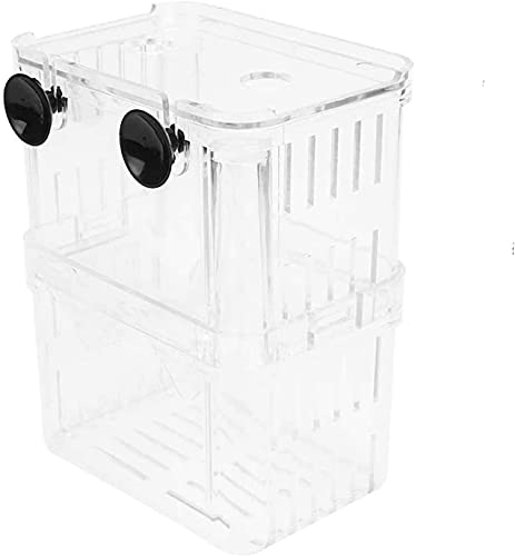 CENPEK 2 x Fischbrüterbox zum Schlüpfen von Brutkästen, selbstschwimmend, transparent, für Guppies, Babyfische, Brutkästen CENPEK 2 x Fischbrüterbox zum Schlüpfen von Brutkästen, selbstschwimmend, transparent, für Guppies, Babyfische, Brutkästen von CENPEK