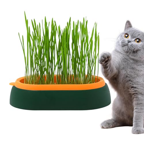 CENRF Katzentopf | Katzentopf | Pflanzkasten für Katzen, Hunde und andere Haustiere, drinnen oder draußen, Katzenbox für drinnen und draußen, Zubehör CENRF Katzentopf | Katzentopf | Pflanzkasten für Katzen, Hunde und andere Haustiere, drinnen oder draußen, Katzenbox für drinnen und draußen, Zubehör von CENRF
