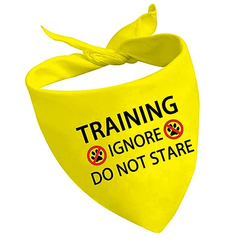 1 Stück Training Ignore Do Not Stare Hund Bandana Dot Not Pet Working Dog Bandana Service Dog Gift (Do Not Stare D2) von CENWA