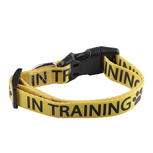 CENWA in Training Hundehalsband Arbeitshundehalsband Verstellbares Haustierhalsband (Gelb im Training) von CENWA