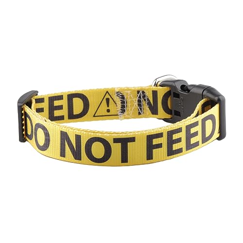 Hundehalsband mit Aufschrift "Do Not Feed", Gelb von CENWA