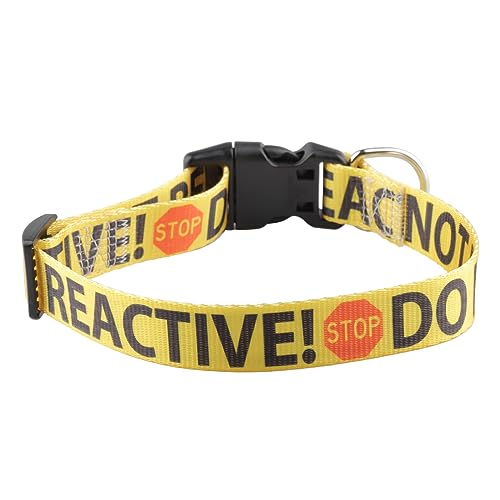 CENWA Do Not Pet Reactive Hundehalsband (30–47 cm, Gelb, Polyester, Warnung 'REACTIVE! NICHT HAUSTIEREN' auf beiden Seiten) von CENWA