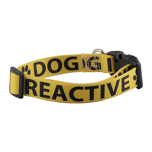 Reactive Dog In Training Adjustable Dog Collar Reactive Dog Collar Reactive Dog Gift (Reactive Dog In collar) von CENWA